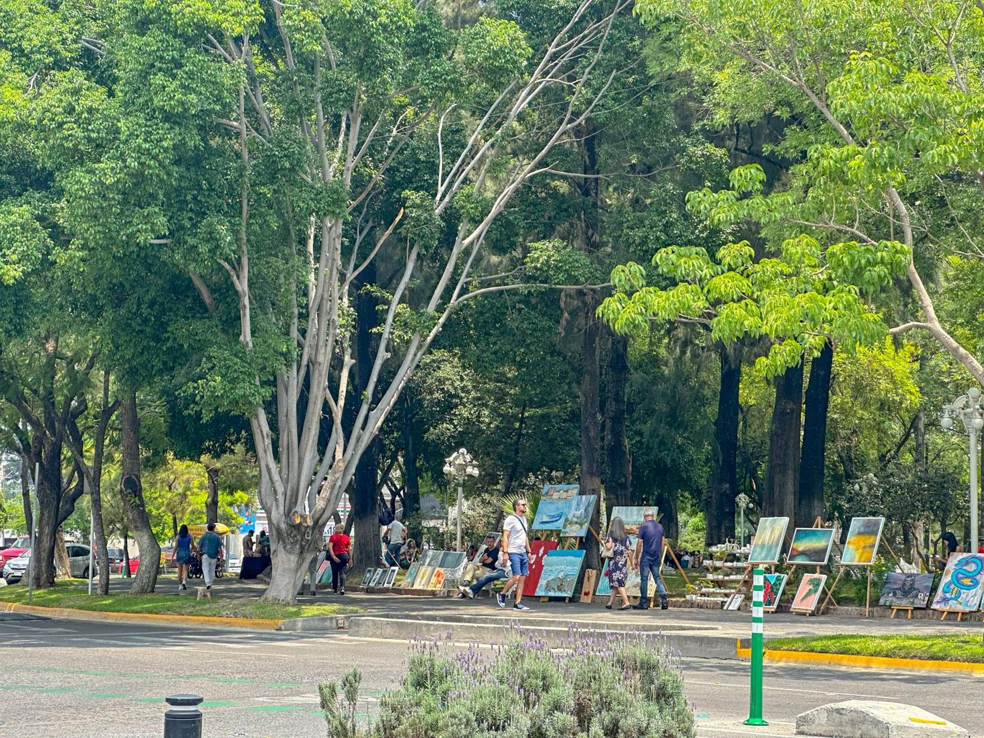 Sencillo Y Acogedor Estudio En Chapalita 02 Guadalajara Zewnętrze zdjęcie