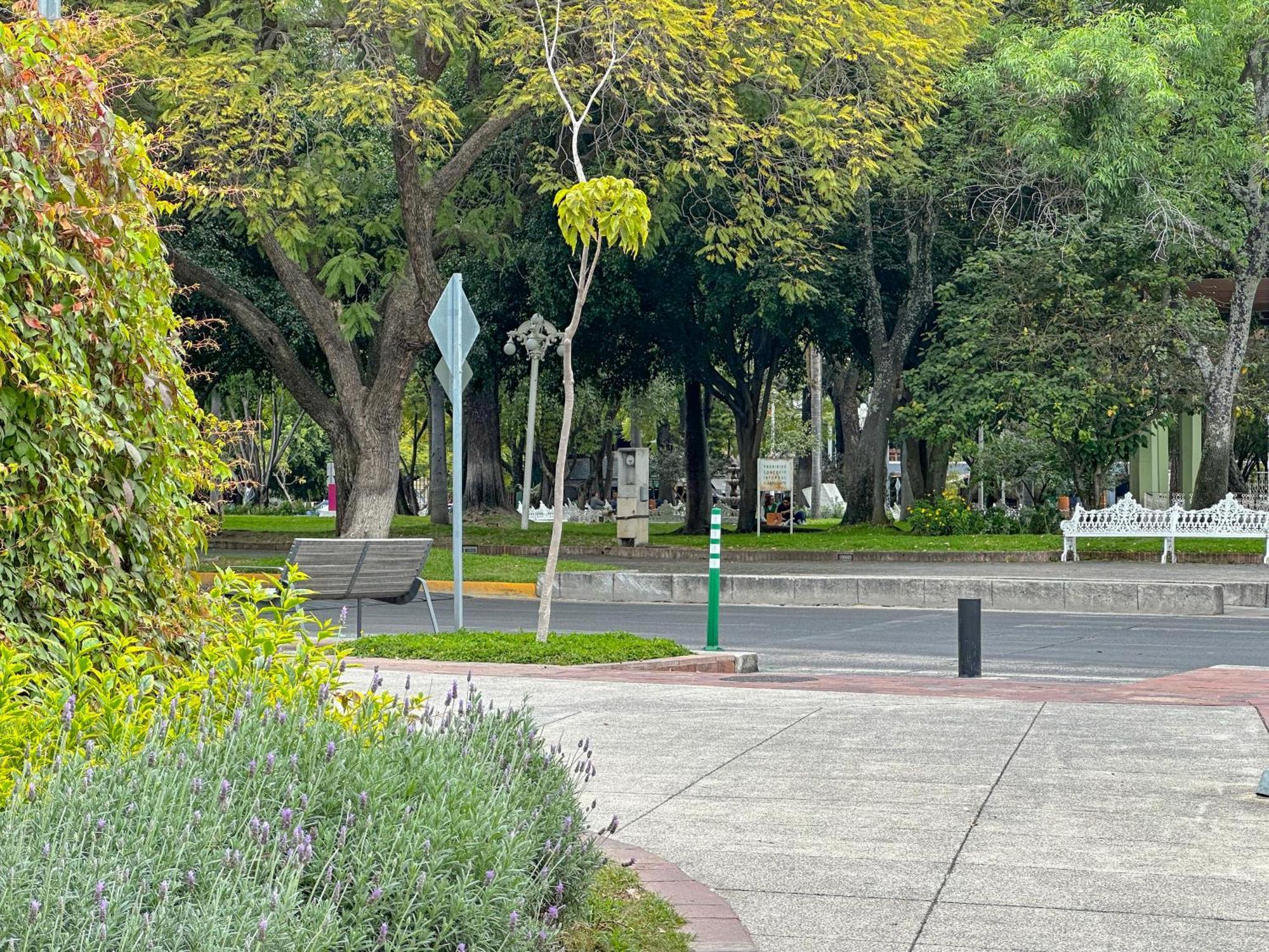 Sencillo Y Acogedor Estudio En Chapalita 02 Guadalajara Zewnętrze zdjęcie