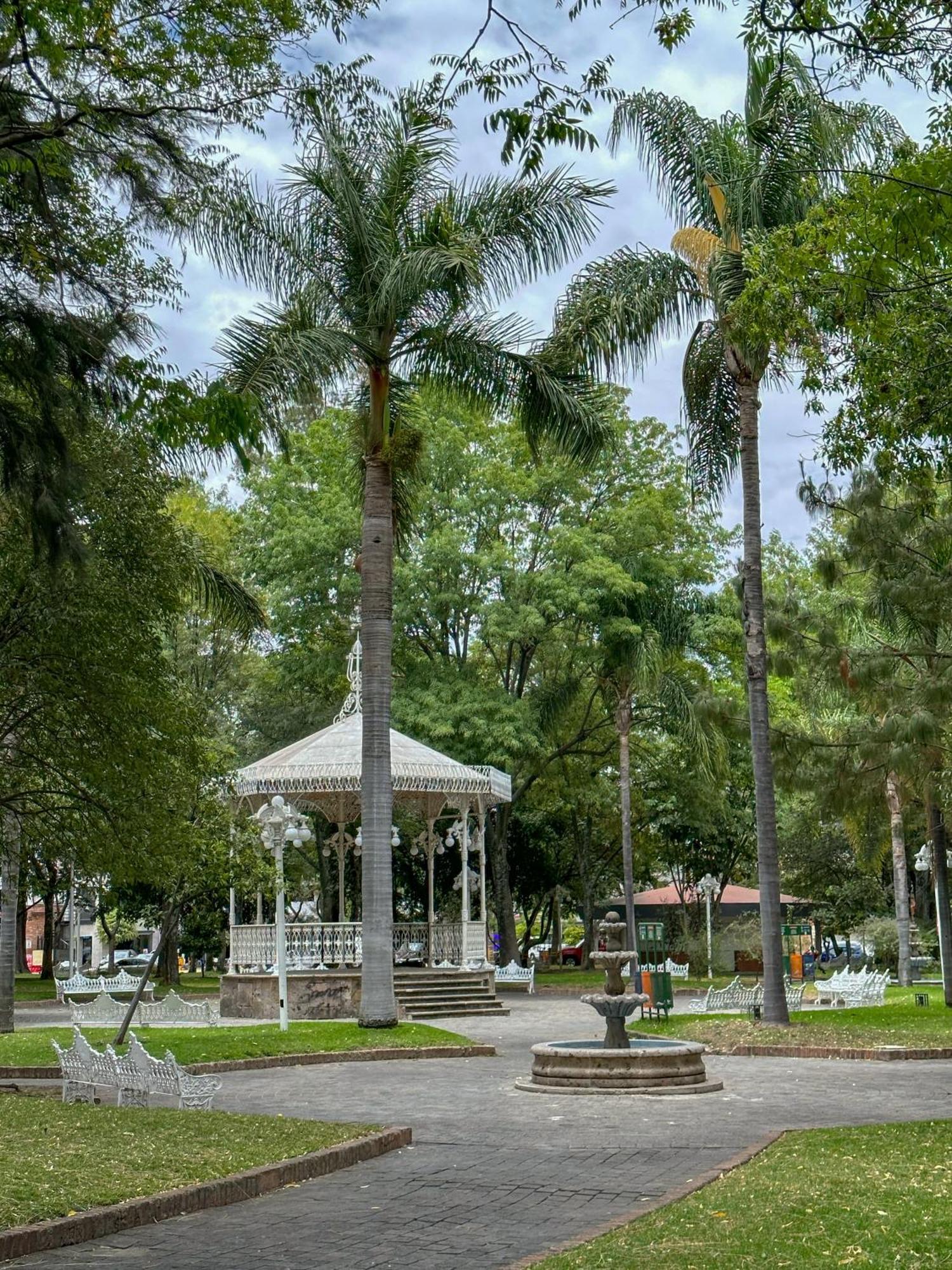 Sencillo Y Acogedor Estudio En Chapalita 02 Guadalajara Zewnętrze zdjęcie